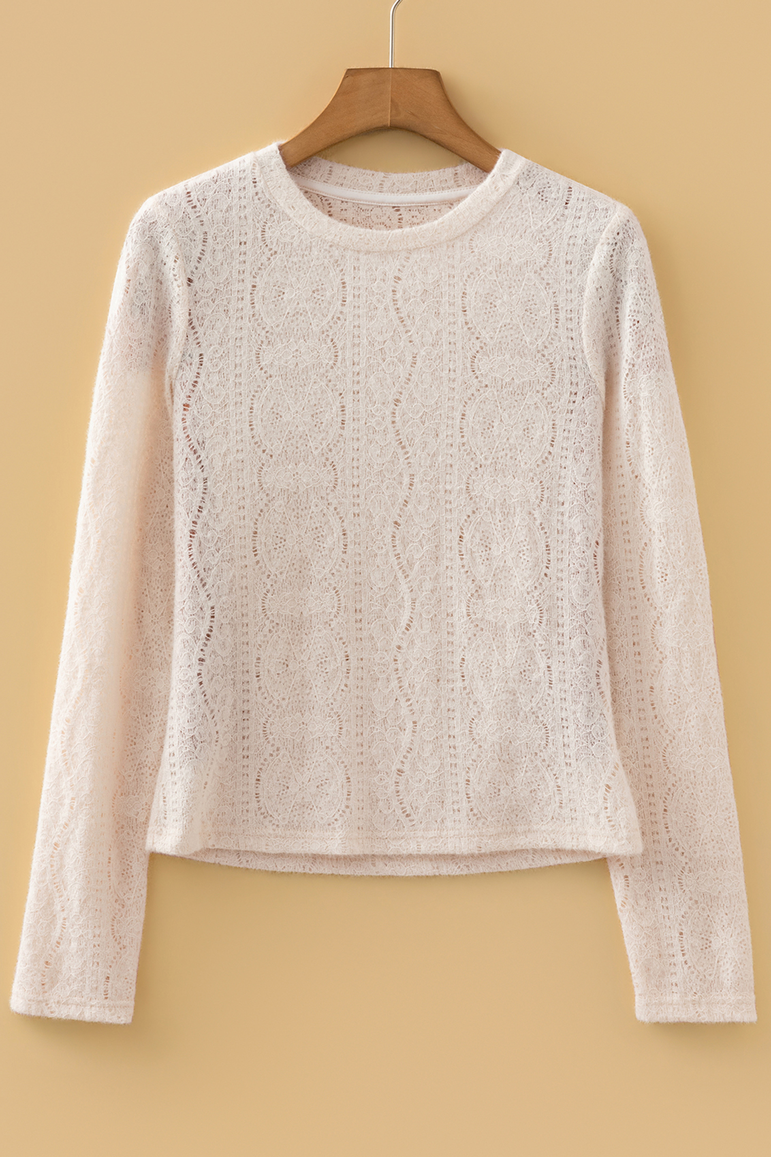 Light Pink Semi Sheer Lace Long Sleeve Cropped Top